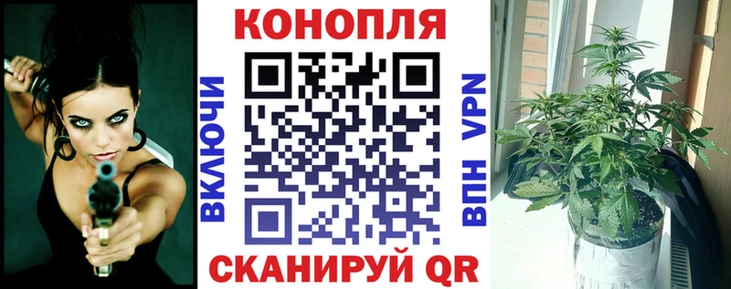 Конопля AK-47 Бокситогорск